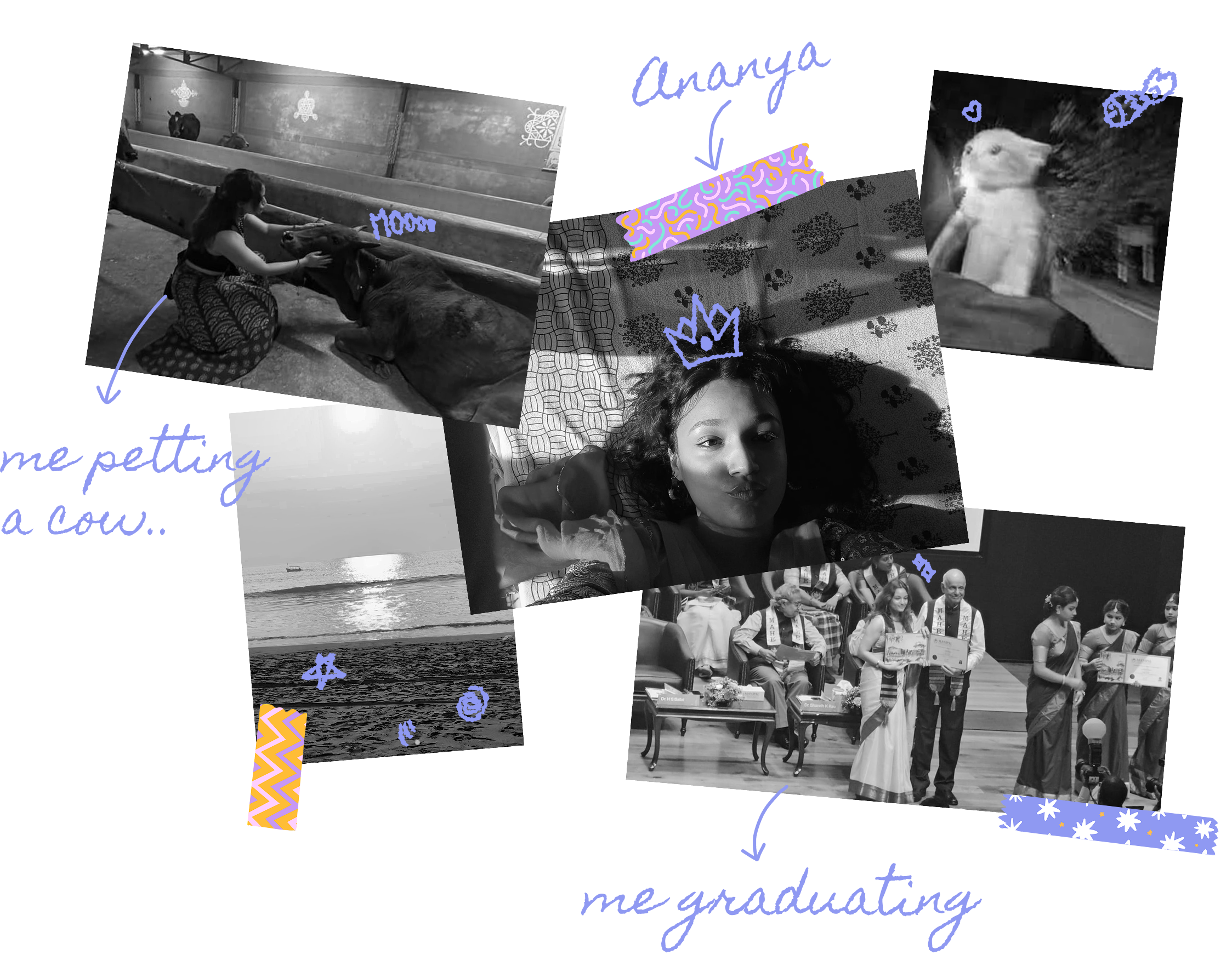 A scrapbook collage: me petting a cow, a portrait, my cat, the beach at sunrise, and my graduation